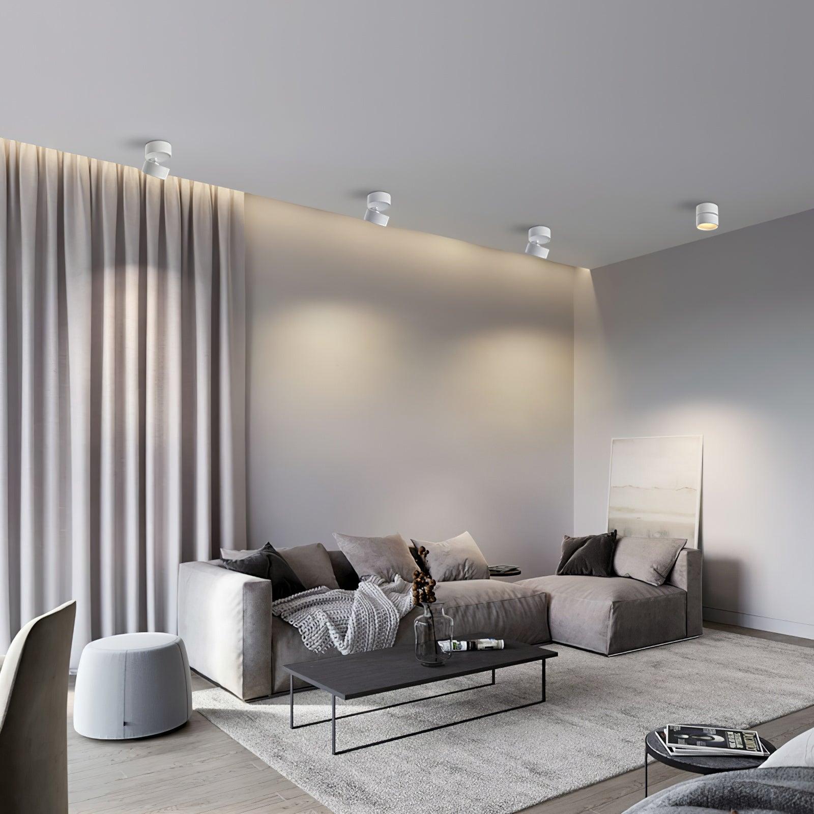 Adjustable minimalist ceiling light