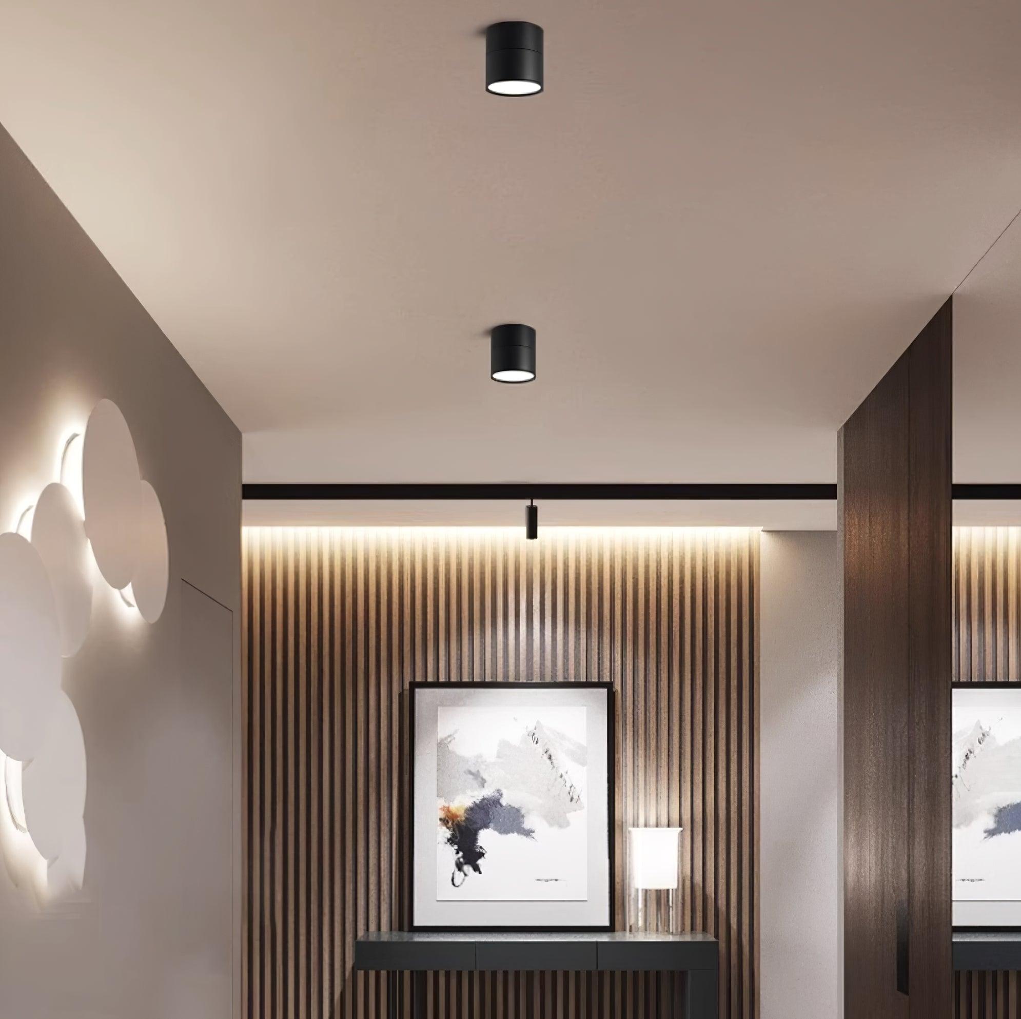 Adjustable minimalist ceiling light