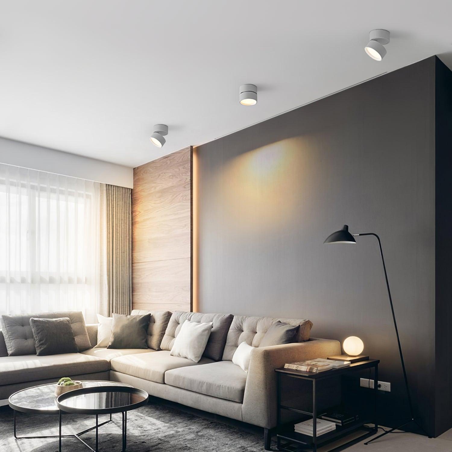 Adjustable minimalist ceiling light