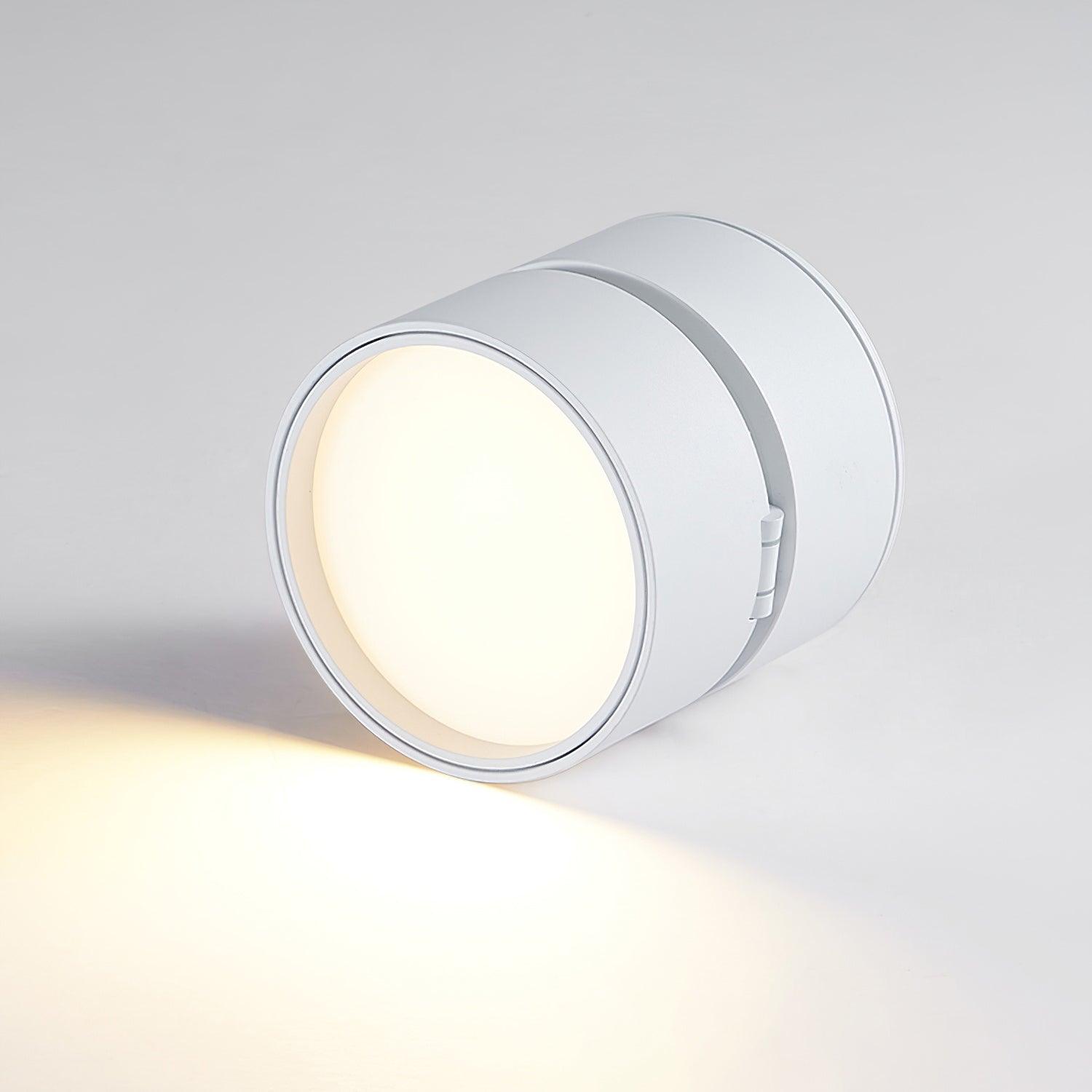Adjustable minimalist ceiling light