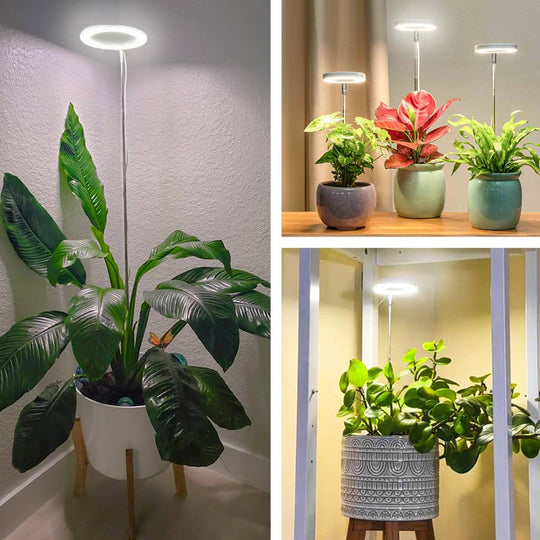 Furendi Plant Light
