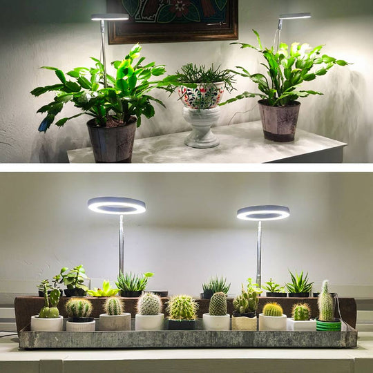 Furendi Plant Light