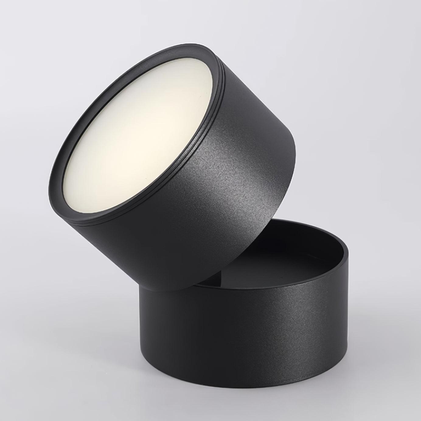 Adjustable minimalist ceiling light