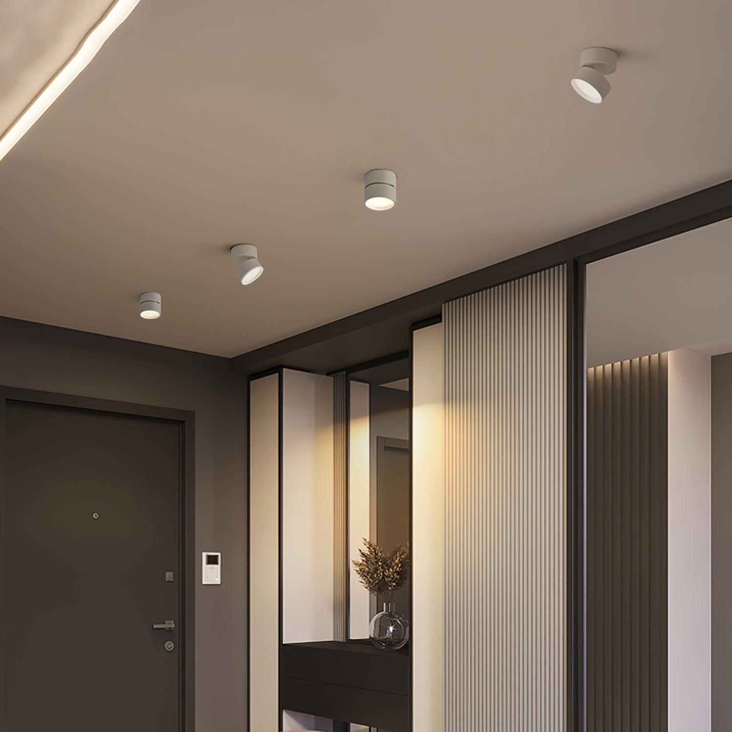 Adjustable minimalist ceiling light