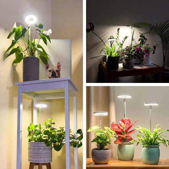 Furendi Plant Light