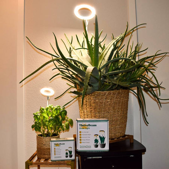 Furendi Plant Light